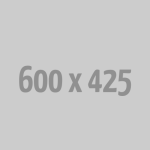 Adapting to the New Web Development Trends in 2024